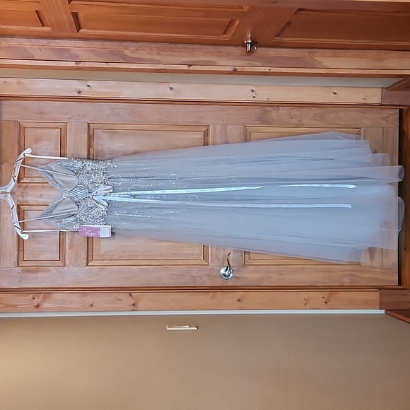 Alyce Paris Silver Formal Dress - Picture 14 of 14